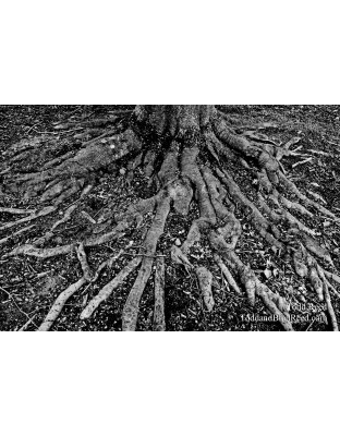 Reaching Out