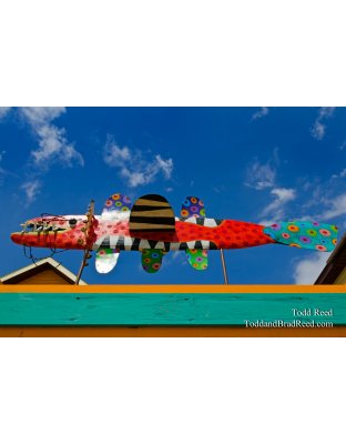 Flying Fish