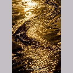 Golden Ripples