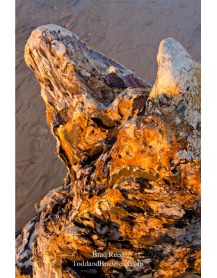 Stumped