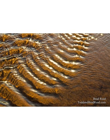 Ripples of Light