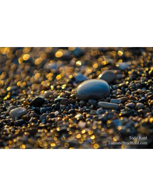 Lake Michigan Treasure