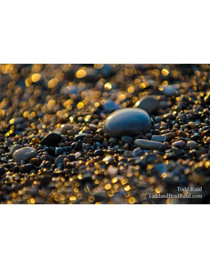 Lake Michigan Treasure