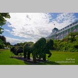 Ivy at the Grand