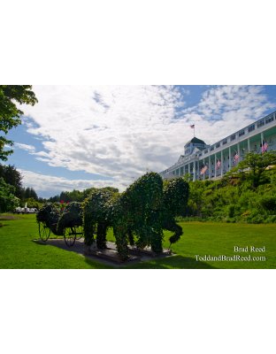 Ivy at the Grand