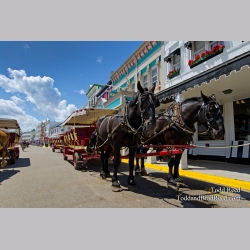 Island Transportation