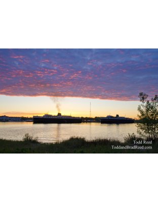 Harbor Dawn