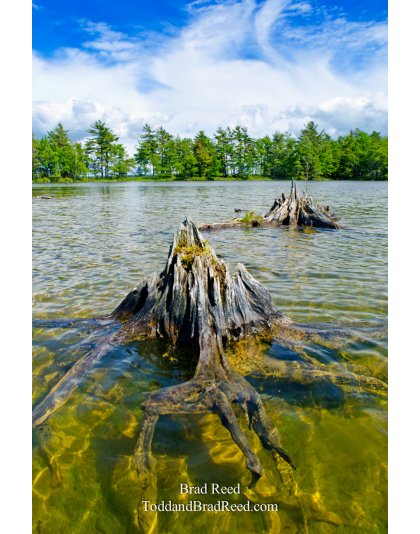Island Walker - Vertical