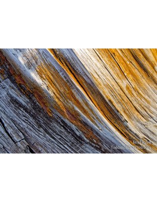 Gradations