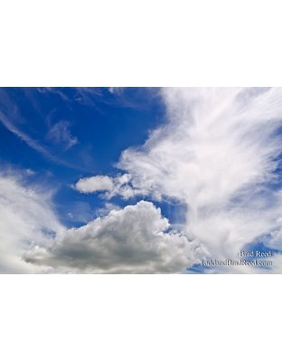 Great Clouds