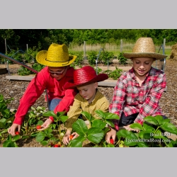 Wojos Farm