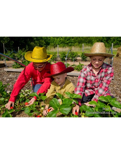 Wojos Farm