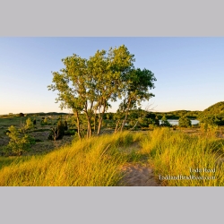 Saugatuck Natural Area