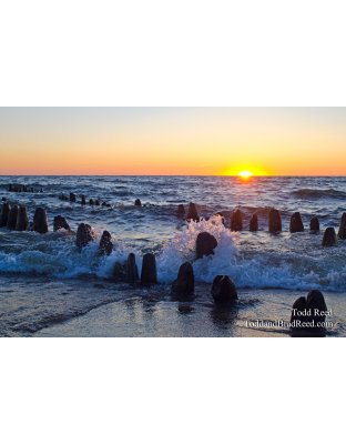 Sunset Splash