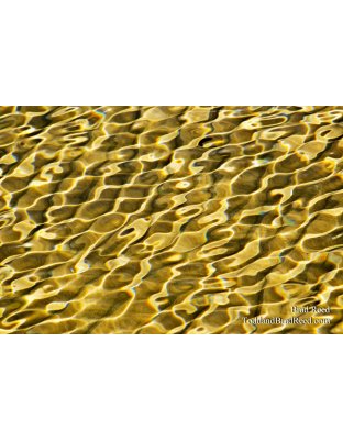 Liquid Gold
