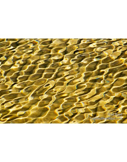 Liquid Gold