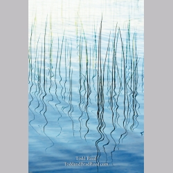 Platte Lake Illusions