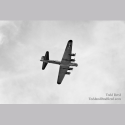 War Bird
