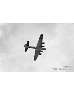 War Bird