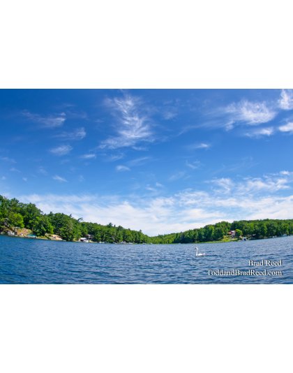 The North Shore