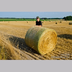 At Home on the Farm