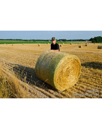 At Home on the Farm