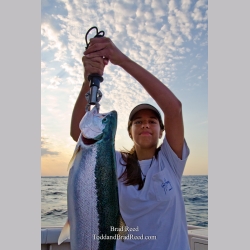 Steelhead