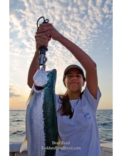 Steelhead