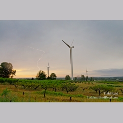 Electric Country
