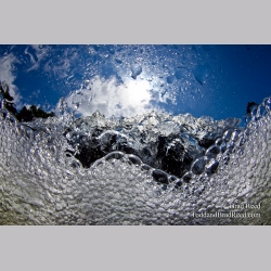 Water World