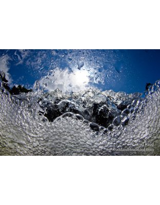Water World