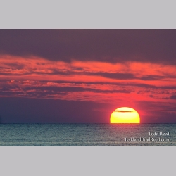 Orange Ending