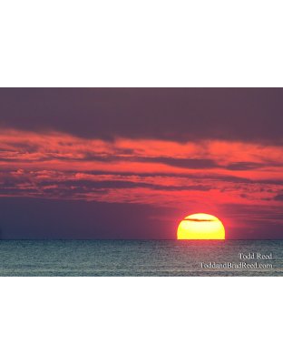Orange Ending