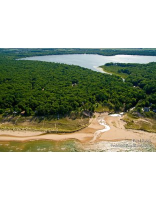 A Fresh View of Bass Lake Outlet