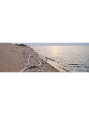 Soft Light - Panoramic