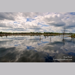 Shale Quarry Reflections