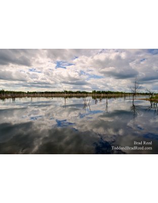 Shale Quarry Reflections