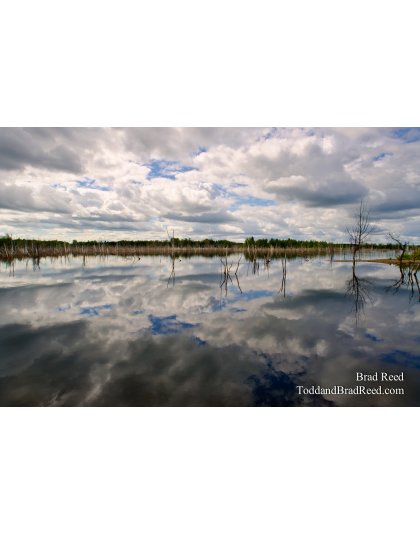 Shale Quarry Reflections