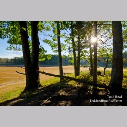 Restful Place