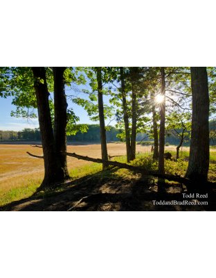 Restful Place