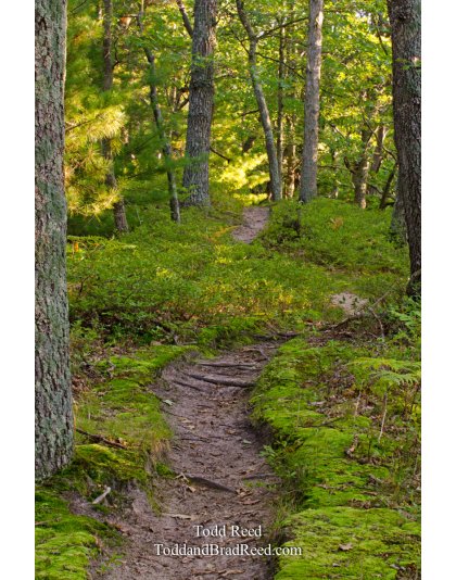 Wilderness Trek