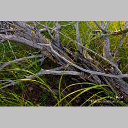 Interwoven