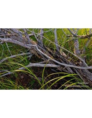 Interwoven