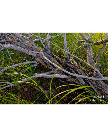 Interwoven