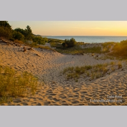 Sand Dimples