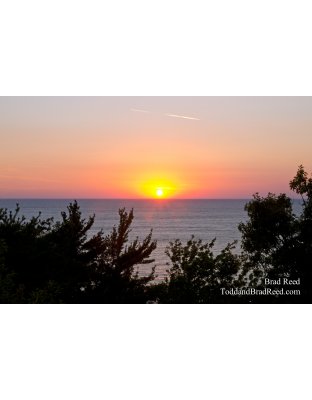 Goodbye to Summer