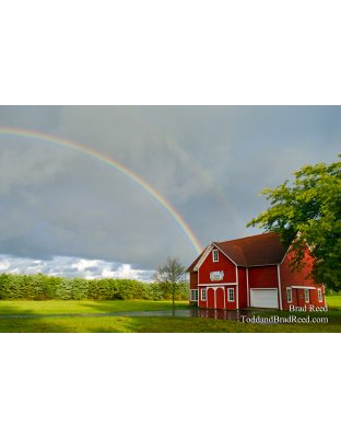 Trillium Creek Rainbows