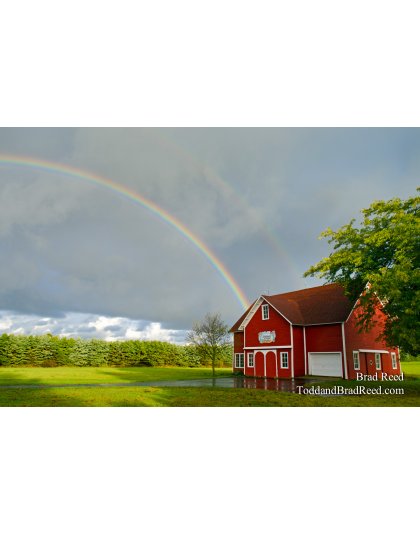 Trillium Creek Rainbows