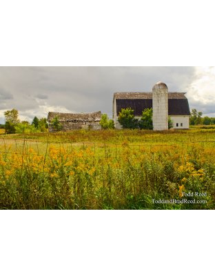 Country Tapestry