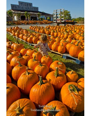 Picking Time